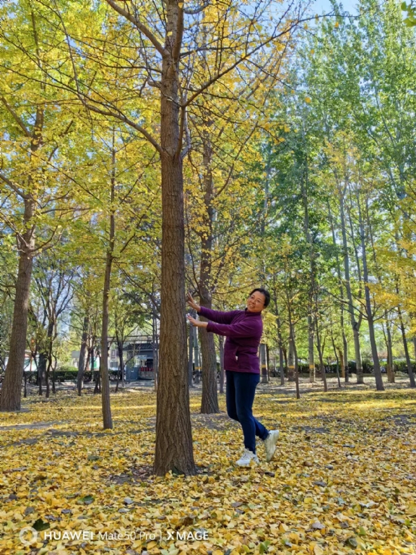 Shirley的第四张照片--延安交友中心